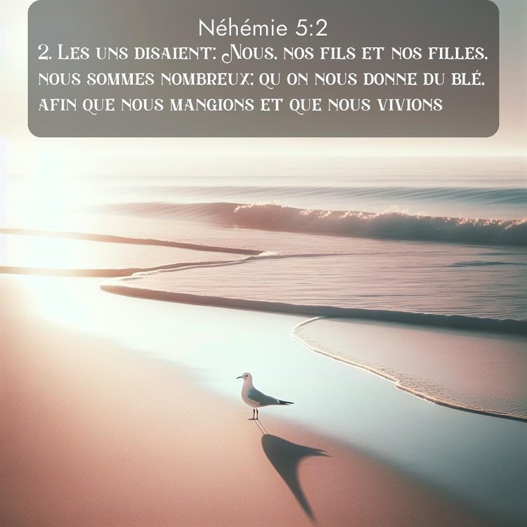 Segond Néhémie 5:2