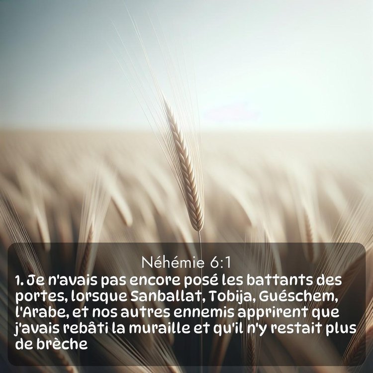 Segond Néhémie 6:1