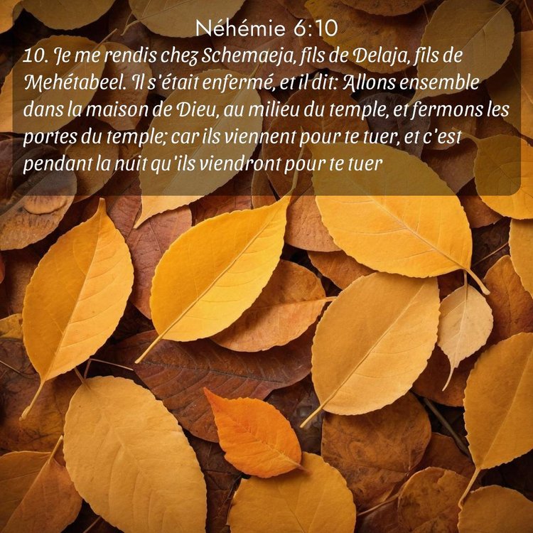 Segond Néhémie 6:10