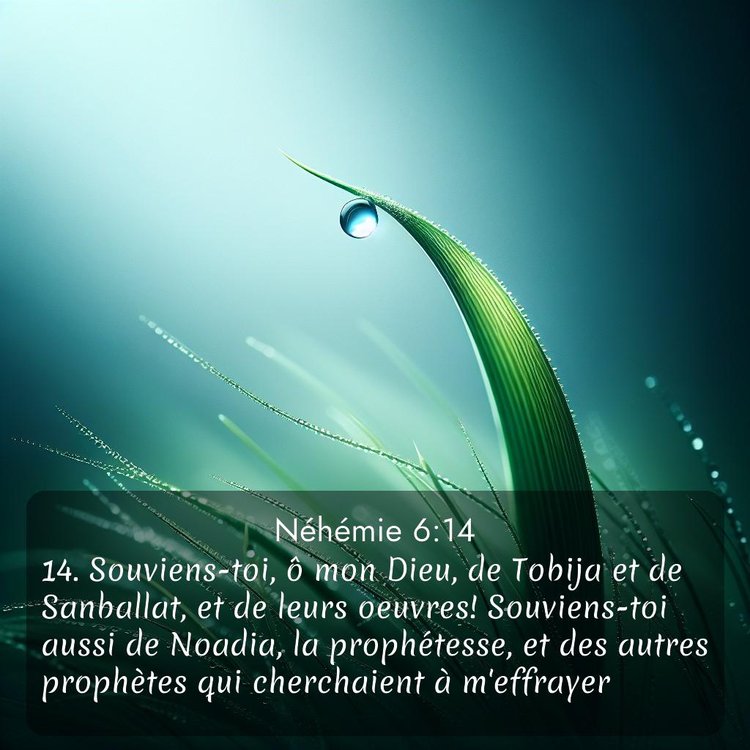 Segond Néhémie 6:14