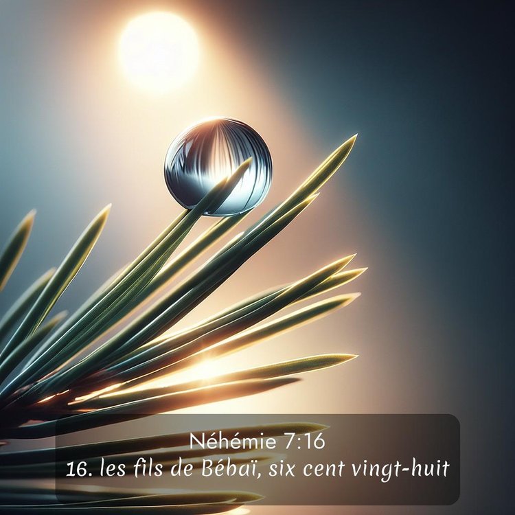 Segond Néhémie 7:16