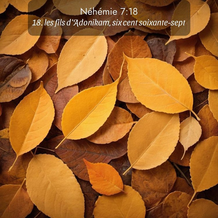 Segond Néhémie 7:18