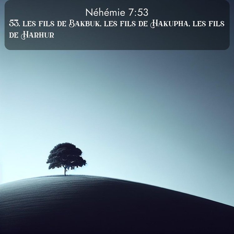 Segond Néhémie 7:53