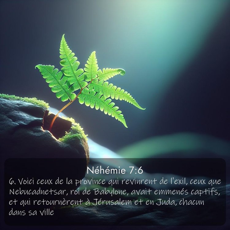 Segond Néhémie 7:6