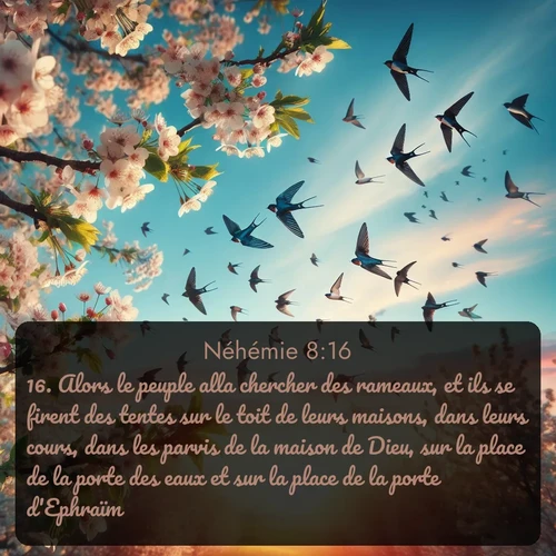Segond Néhémie  ; image nature: image avec le verset biblique :Alors le peuple alla chercher des rameaux, et ils se firent des tentes sur le toit de leurs maisons, dans leurs cours, dans les parvis de la maison de Dieu, sur la place de la porte des eaux et sur la place de la porte d&#039;Ephraïm. ;  ; 8:16