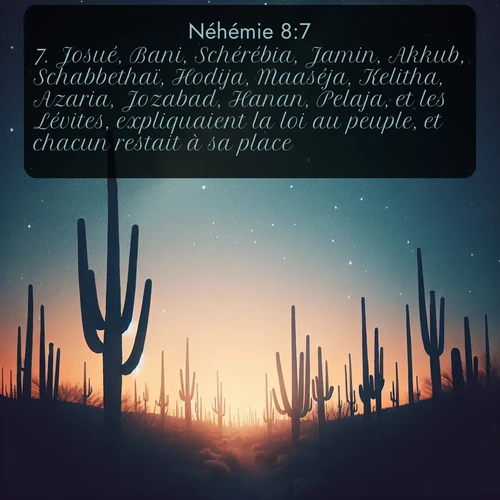 Segond Néhémie  ; image nature: image avec le verset biblique :Josué, Bani, Schérébia, Jamin, Akkub, Schabbethaï, Hodija, Maaséja, Kelitha, Azaria, Jozabad, Hanan, Pelaja, et les Lévites, expliquaient la loi au peuple, et chacun restait à sa place. ;  ; 8:7