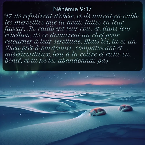 Segond Néhémie  ; image nature: image avec le verset biblique :ils refusèrent d&#039;obéir, et ils mirent en oubli les merveilles que tu avais faites en leur faveur. Ils raidirent leur cou; et, dans leur rébellion, ils se donnèrent un chef pour retourner à leur servitude. Mais toi, tu es un Dieu prêt à pardonner, compatissant et miséricordieux, lent à la colère et riche en bonté, et tu ne les abandonnas pas, ;  ; 9:17