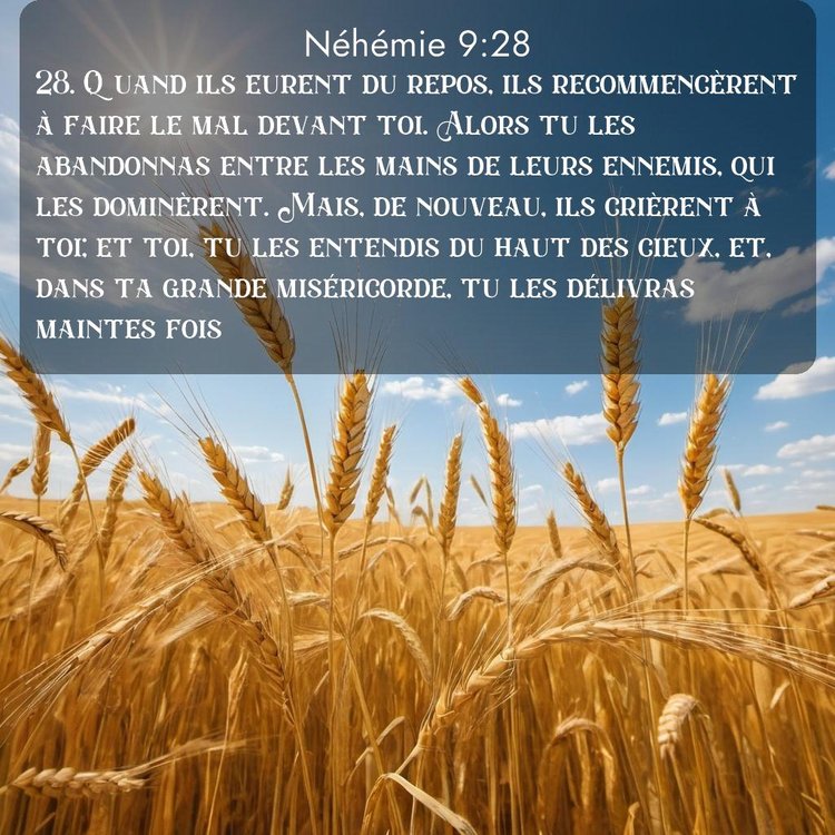 Segond Néhémie 9:28