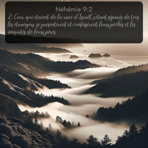 Segond Néhémie  ; image nature: image avec le verset biblique :Ceux qui étaient de la race d&#039;Israël, s&#039;étant séparés de tous les étrangers, se présentèrent et confessèrent leurs péchés et les iniquités de leurs pères. ;  ; 9:2