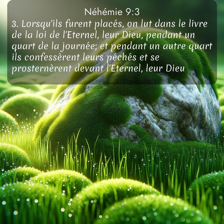 Segond Néhémie 9:3