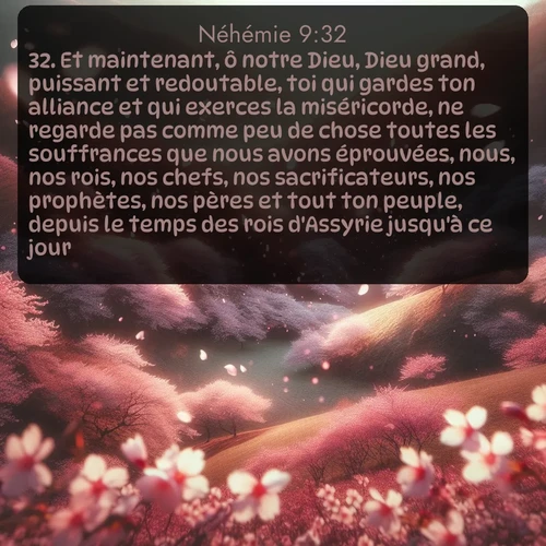 Segond Néhémie  ; image nature: image avec le verset biblique :Et maintenant, ô notre Dieu, Dieu grand, puissant et redoutable, toi qui gardes ton alliance et qui exerces la miséricorde, ne regarde pas comme peu de chose toutes les souffrances que nous avons éprouvées, nous, nos rois, nos chefs, nos sacrificateurs, nos prophètes, nos pères et tout ton peuple, depuis le temps des rois d&#039;Assyrie jusqu&#039;à ce jour. ;  ; 9:32