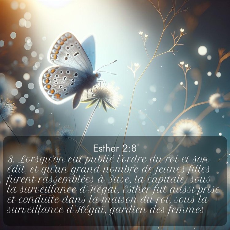 Segond Esther 2:8