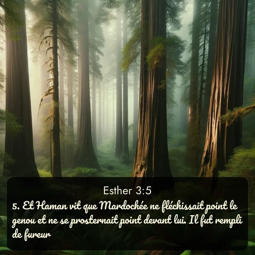 Segond Esther  ; image nature: image avec le verset biblique :Et Haman vit que Mardochée ne fléchissait point le genou et ne se prosternait point devant lui. Il fut rempli de fureur; ;  ; 3:5
