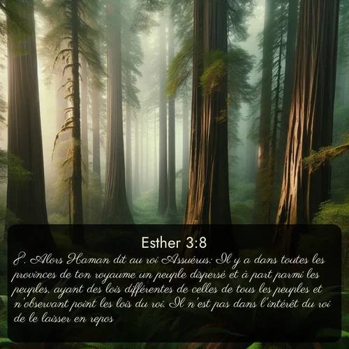 Segond Esther  ; image nature: image avec le verset biblique :Alors Haman dit au roi Assuérus: Il y a dans toutes les provinces de ton royaume un peuple dispersé et à part parmi les peuples, ayant des lois différentes de celles de tous les peuples et n&#039;observant point les lois du roi. Il n&#039;est pas dans l&#039;intérêt du roi de le laisser en repos. ;  ; 3:8