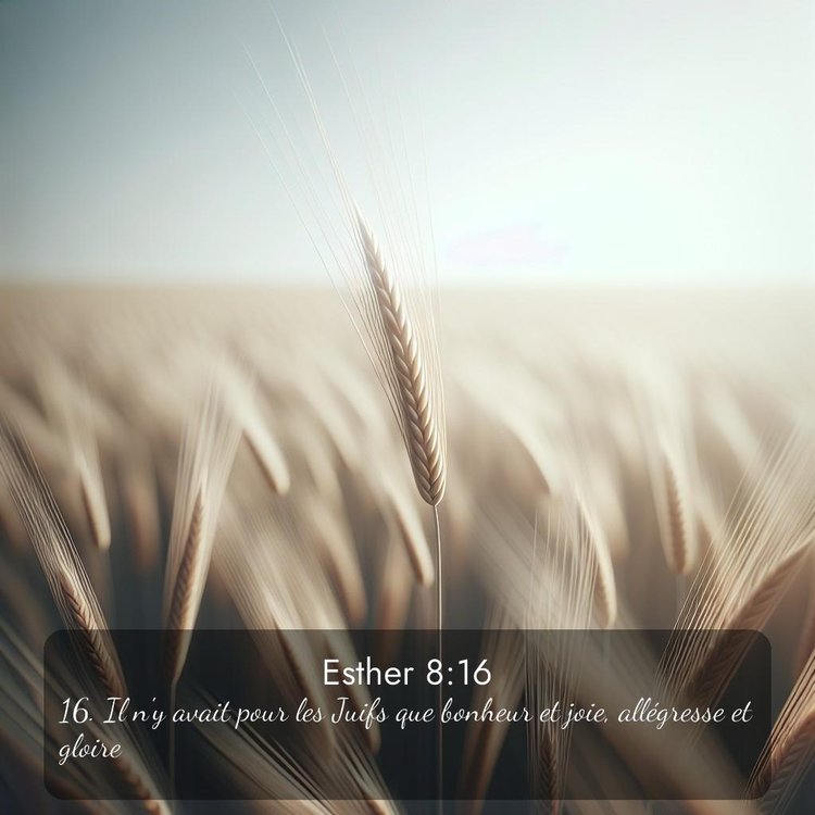 Segond Esther 8:16