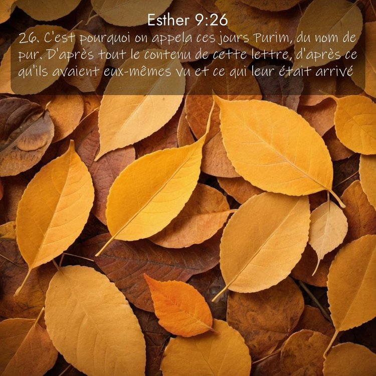 Segond Esther 9:26