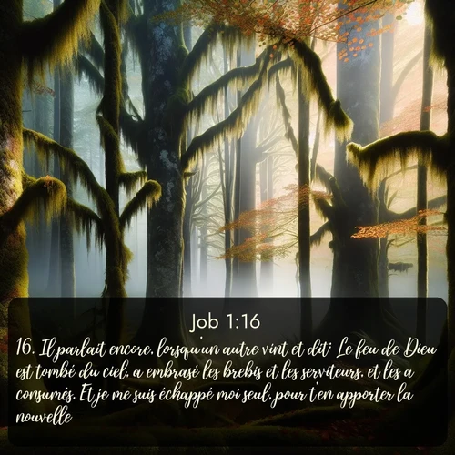 Segond Job  ; image nature: image avec le verset biblique :Il parlait encore, lorsqu&#039;un autre vint et dit: Le feu de Dieu est tombé du ciel, a embrasé les brebis et les serviteurs, et les a consumés. Et je me suis échappé moi seul, pour t&#039;en apporter la nouvelle. ;  ; 1:16