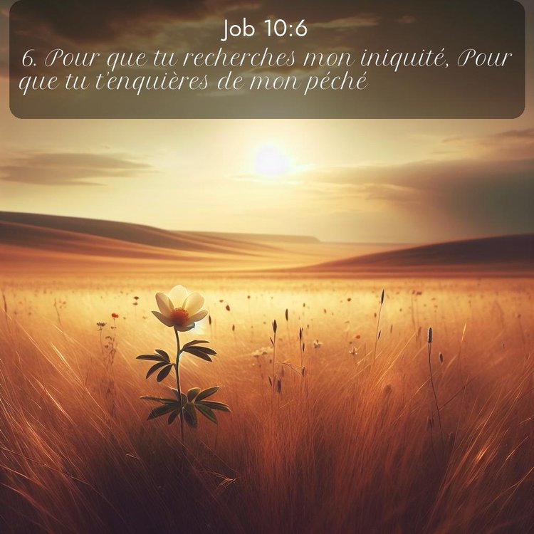 Segond Job 10:6