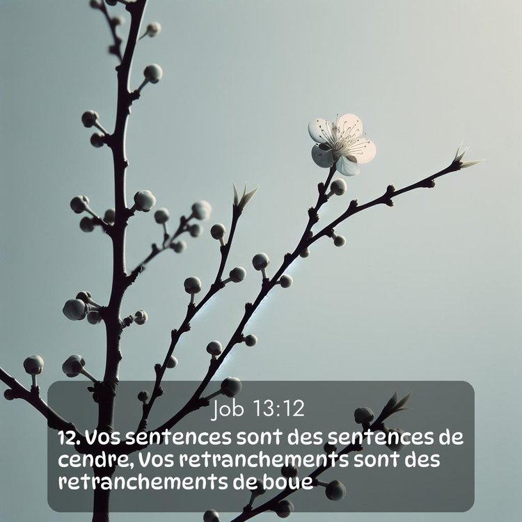 image nature avec verset biblique de la Bible