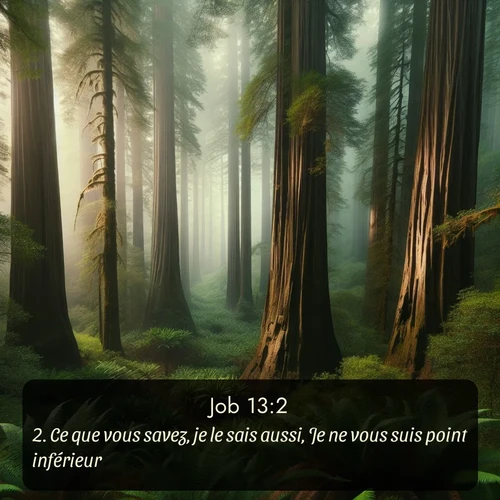 Segond 18 13:2