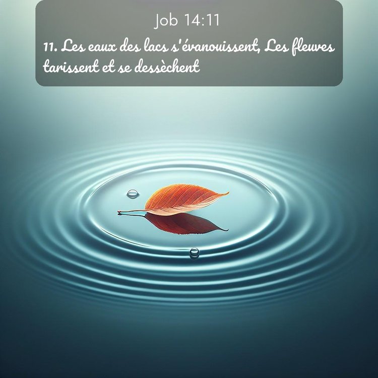 image nature avec verset biblique de la Bible