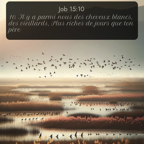 Segond Job  ; image nature: image avec le verset biblique :Il y a parmi nous des cheveux blancs, des vieillards, Plus riches de jours que ton père. ;  ; 15:10