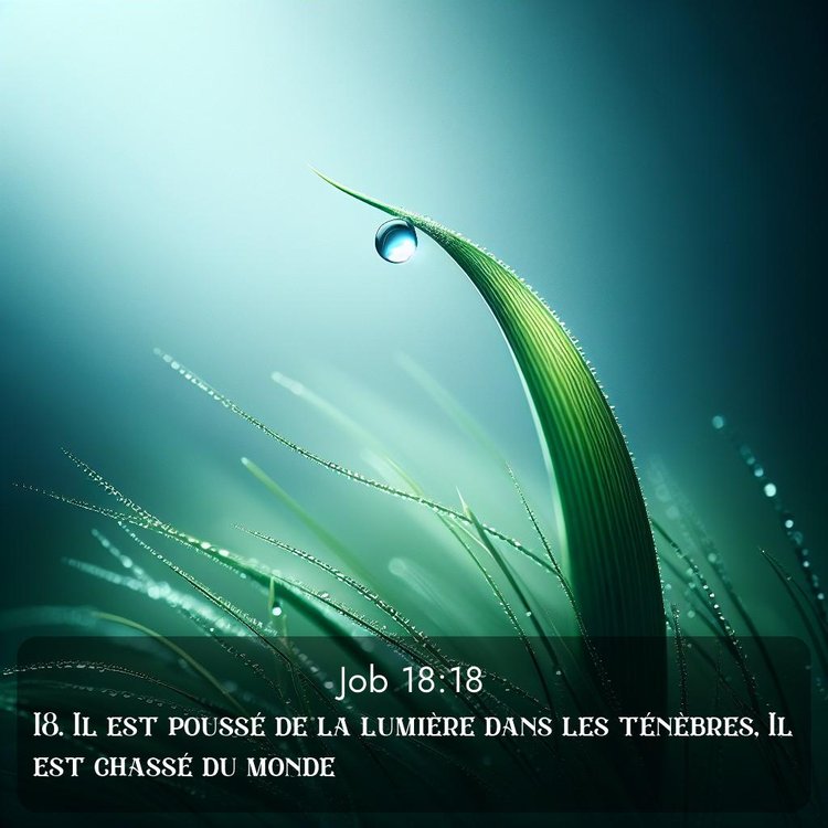 image nature avec verset biblique de la Bible
