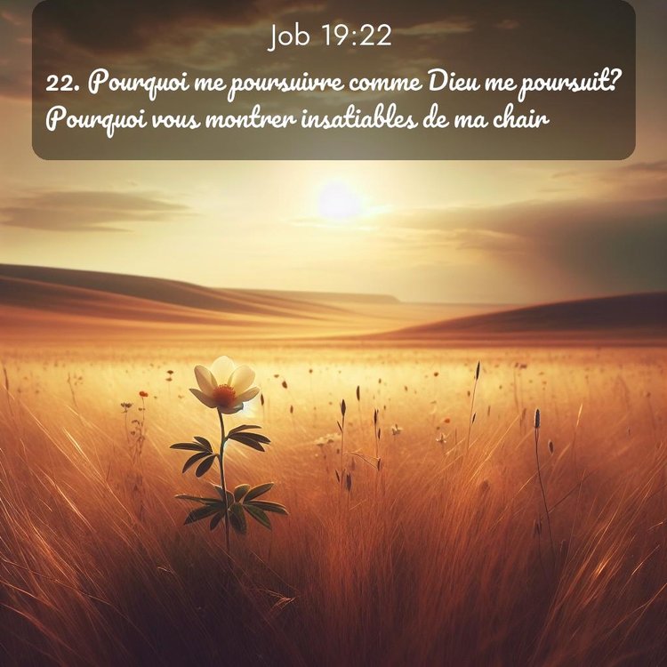 image nature avec verset biblique de la Bible