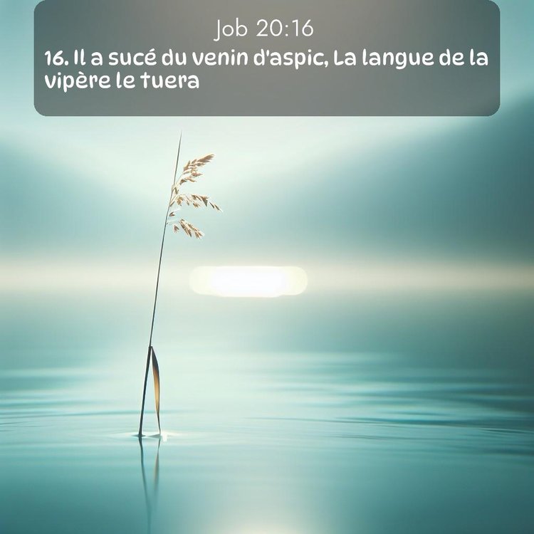 image nature avec verset biblique de la Bible