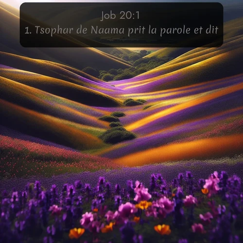 Segond 18 20:1