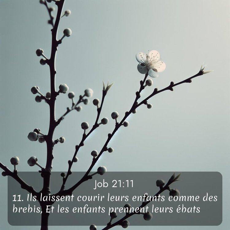 image nature avec verset biblique de la Bible