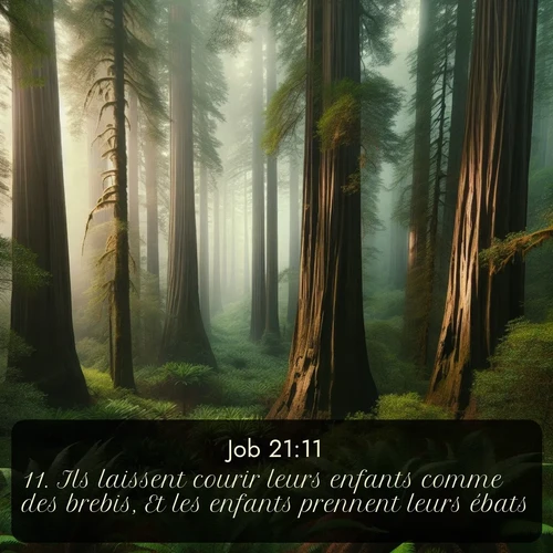 Segond Job  ; image nature: image avec le verset biblique :Ils laissent courir leurs enfants comme des brebis, Et les enfants prennent leurs ébats. ;  ; 21:11