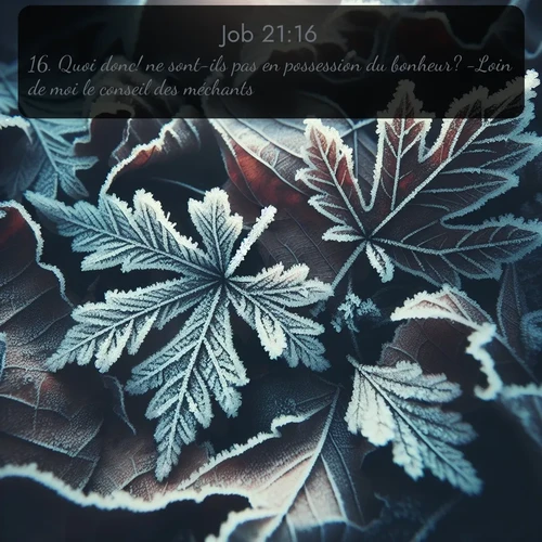Segond Job  ; image nature: image avec le verset biblique :Quoi donc! ne sont-ils pas en possession du bonheur? -Loin de moi le conseil des méchants! ;  ; 21:16