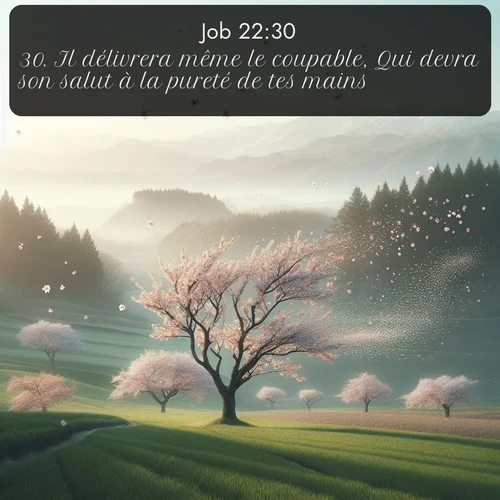 Segond Job  ; image nature: image avec le verset biblique :Il délivrera même le coupable, Qui devra son salut à la pureté de tes mains. ;  ; 22:30