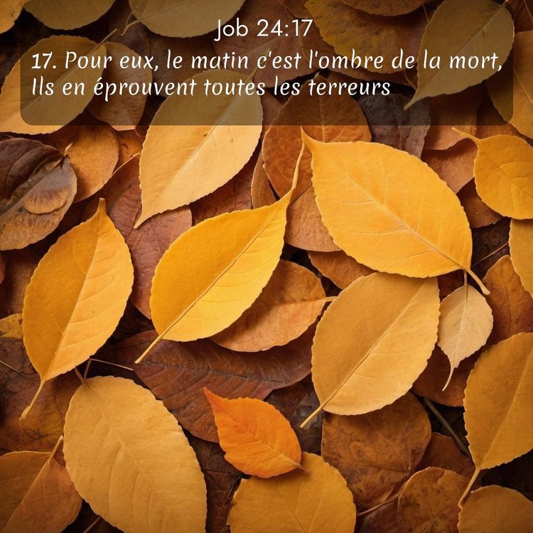 image nature avec verset biblique de la Bible