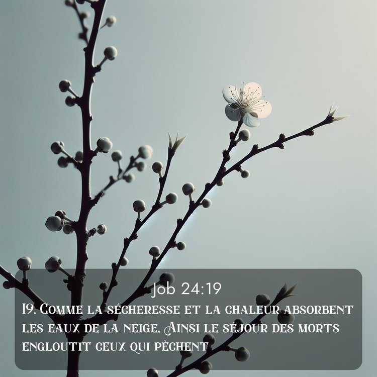 image nature avec verset biblique de la Bible