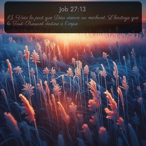 Segond Job  ; image nature: image avec le verset biblique :Voici la part que Dieu réserve au méchant, L&#039;héritage que le Tout-Puissant destine à l&#039;impie. ;  ; 27:13