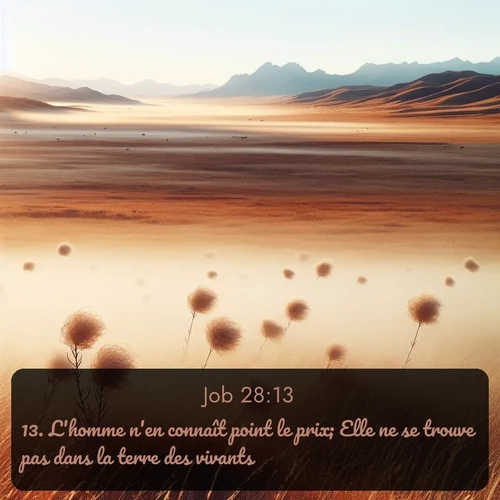 Segond Job  ; image nature: image avec le verset biblique :L&#039;homme n&#039;en connaît point le prix; Elle ne se trouve pas dans la terre des vivants. ;  ; 28:13