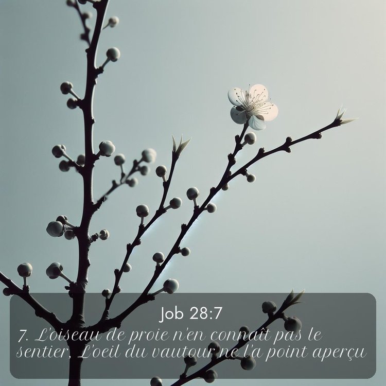 image nature avec verset biblique de la Bible