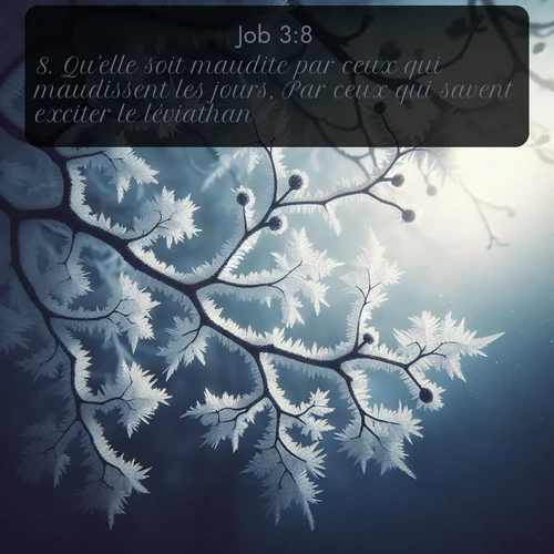 Segond Job  ; image nature: image avec le verset biblique :Qu&#039;elle soit maudite par ceux qui maudissent les jours, Par ceux qui savent exciter le léviathan! ;  ; 3:8