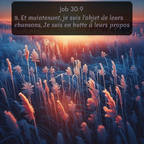 Segond Job  ; image nature: image avec le verset biblique :Et maintenant, je suis l&#039;objet de leurs chansons, Je suis en butte à leurs propos. ;  ; 30:9