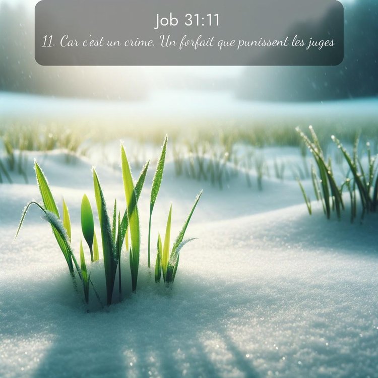 image nature avec verset biblique de la Bible