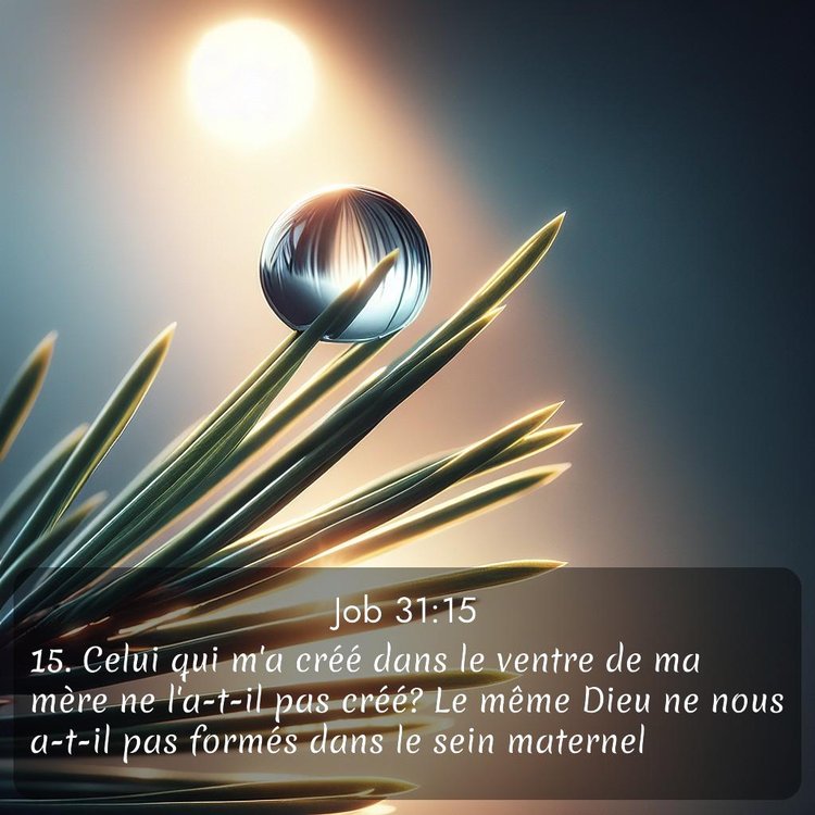 image nature avec verset biblique de la Bible