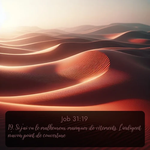 Segond Job  ; image nature: image avec le verset biblique :Si j&#039;ai vu le malheureux manquer de vêtements, L&#039;indigent n&#039;avoir point de couverture, ;  ; 31:19