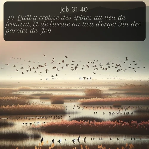 Segond Job  ; image nature: image avec le verset biblique :Qu&#039;il y croisse des épines au lieu de froment, Et de l&#039;ivraie au lieu d&#039;orge! Fin</p><p>Lire le verset dans son contexte : <br><a href=