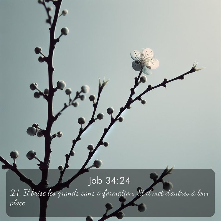 image nature avec verset biblique de la Bible
