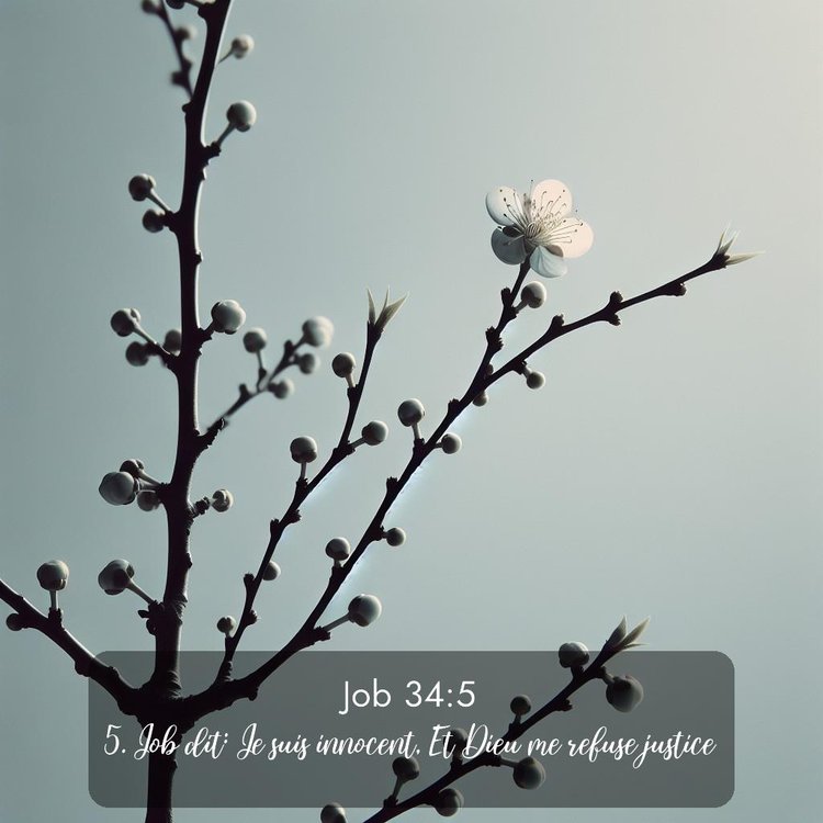 image nature avec verset biblique de la Bible