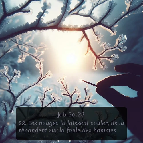 Segond Job  ; image nature: image avec le verset biblique :Les nuages la laissent couler, Ils la répandent sur la foule des hommes. ;  ; 36:28
