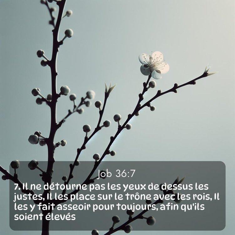 image nature avec verset biblique de la Bible