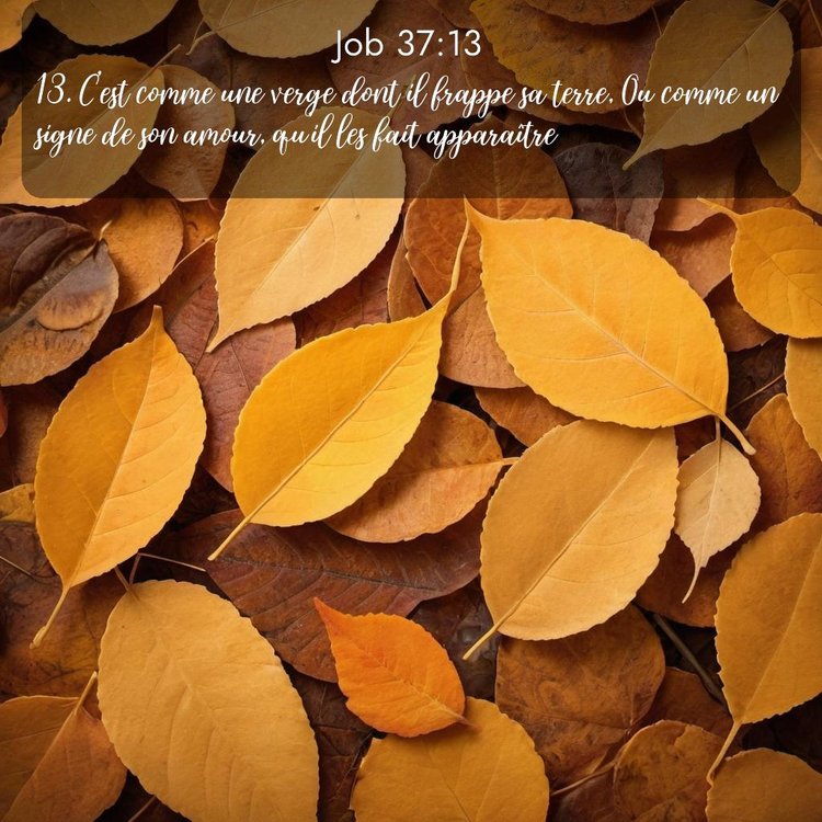 image nature avec verset biblique de la Bible